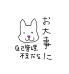 性格の悪い、犬か猫かよくわからんやつ。（個別スタンプ：13）