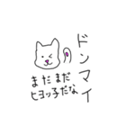 性格の悪い、犬か猫かよくわからんやつ。（個別スタンプ：23）
