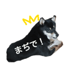 もかぷぅ一家（個別スタンプ：8）