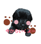 もかぷぅ一家（個別スタンプ：12）