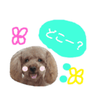 もかぷぅ一家（個別スタンプ：14）