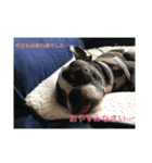 bossの日々2（個別スタンプ：5）