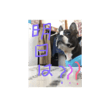 bossの日々2（個別スタンプ：10）