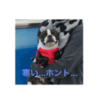 bossの日々2（個別スタンプ：14）