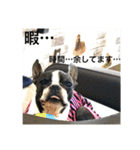 bossの日々2（個別スタンプ：18）