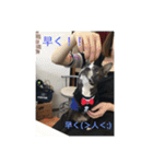 bossの日々2（個別スタンプ：20）