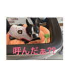 bossの日々2（個別スタンプ：35）