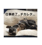 bossの日々2（個別スタンプ：38）