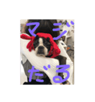 bossの日々2（個別スタンプ：39）