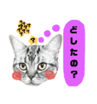 日常、にゃん。（個別スタンプ：4）