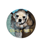 コタロウとお友達（個別スタンプ：27）