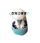 近藤家のるーちゃん（個別スタンプ：2）
