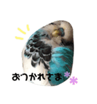 近藤家のるーちゃん（個別スタンプ：3）