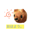 かわいいトモズ（個別スタンプ：8）