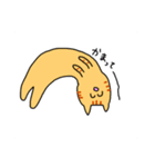 きなことこたろう（個別スタンプ：18）
