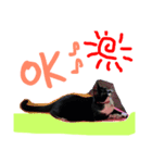 僕の名前はパンダ(日常で使えそうなの)（個別スタンプ：7）