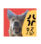ミックス犬 はなちゃん 黒猫 べーちゃん（個別スタンプ：2）