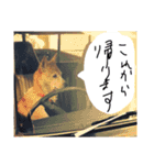 ミックス犬 はなちゃん 黒猫 べーちゃん（個別スタンプ：3）
