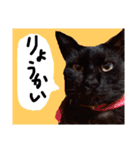 ミックス犬 はなちゃん 黒猫 べーちゃん（個別スタンプ：4）