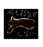 ミックス犬 はなちゃん 黒猫 べーちゃん（個別スタンプ：15）