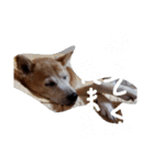 ミックス犬 はなちゃん 黒猫 べーちゃん（個別スタンプ：22）