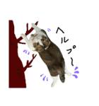 愛猫まーぼ（個別スタンプ：8）
