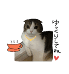 愛猫まーぼ（個別スタンプ：14）