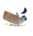 愛猫まーぼ（個別スタンプ：23）