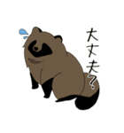 たぬきちくんの日常（個別スタンプ：15）