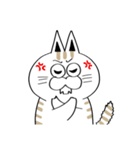 キジトラにゃんこネコネコスタンプ（個別スタンプ：24）