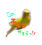 愛犬のスタンプです。（個別スタンプ：17）