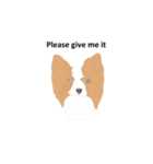 ワンコロスタンプ（個別スタンプ：36）