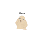 ワンコロスタンプ（個別スタンプ：39）