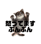 愛犬ロンベルエル（個別スタンプ：24）