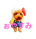 コロンさん2 〔収益はエサ代になります〕（個別スタンプ：2）