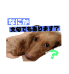 くれあ☆すたんぷ（個別スタンプ：1）