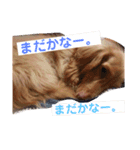 くれあ☆すたんぷ（個別スタンプ：6）