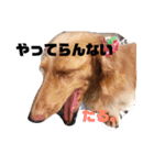 くれあ☆すたんぷ（個別スタンプ：8）