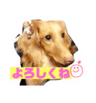くれあ☆すたんぷ（個別スタンプ：9）