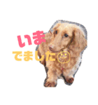 くれあ☆すたんぷ（個別スタンプ：10）