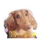 くれあ☆すたんぷ（個別スタンプ：12）