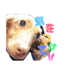 くれあ☆すたんぷ（個別スタンプ：13）