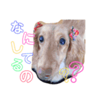 くれあ☆すたんぷ（個別スタンプ：14）