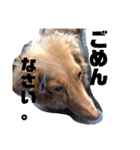 くれあ☆すたんぷ（個別スタンプ：15）