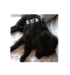 くまんちゅー（個別スタンプ：9）