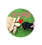 ポピーのお転婆スタンプ2（個別スタンプ：26）