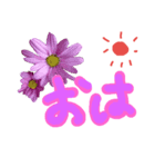 手書きFlower（個別スタンプ：1）