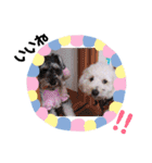 エル＆ロコ（個別スタンプ：38）