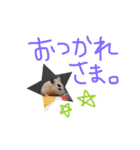 ぽんベビー2（個別スタンプ：6）