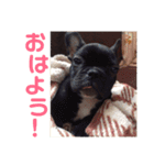 めぐ ろっか なっか（個別スタンプ：2）